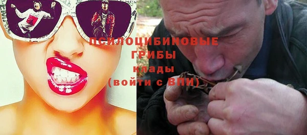 PSILOCYBIN Михайловка
