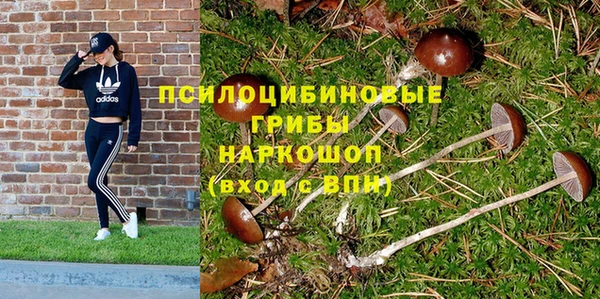PSILOCYBIN Михайловка