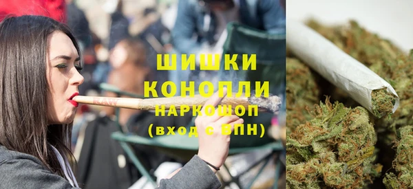 стафф Михайлов