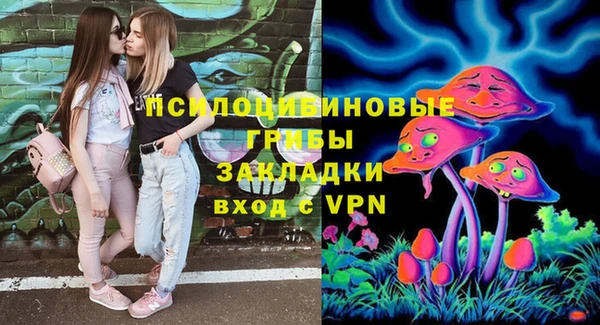 ПСИЛОЦИБИНОВЫЕ ГРИБЫ Алзамай