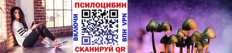 Псилоцибиновые грибы Psilocybine cubensis Чухлома